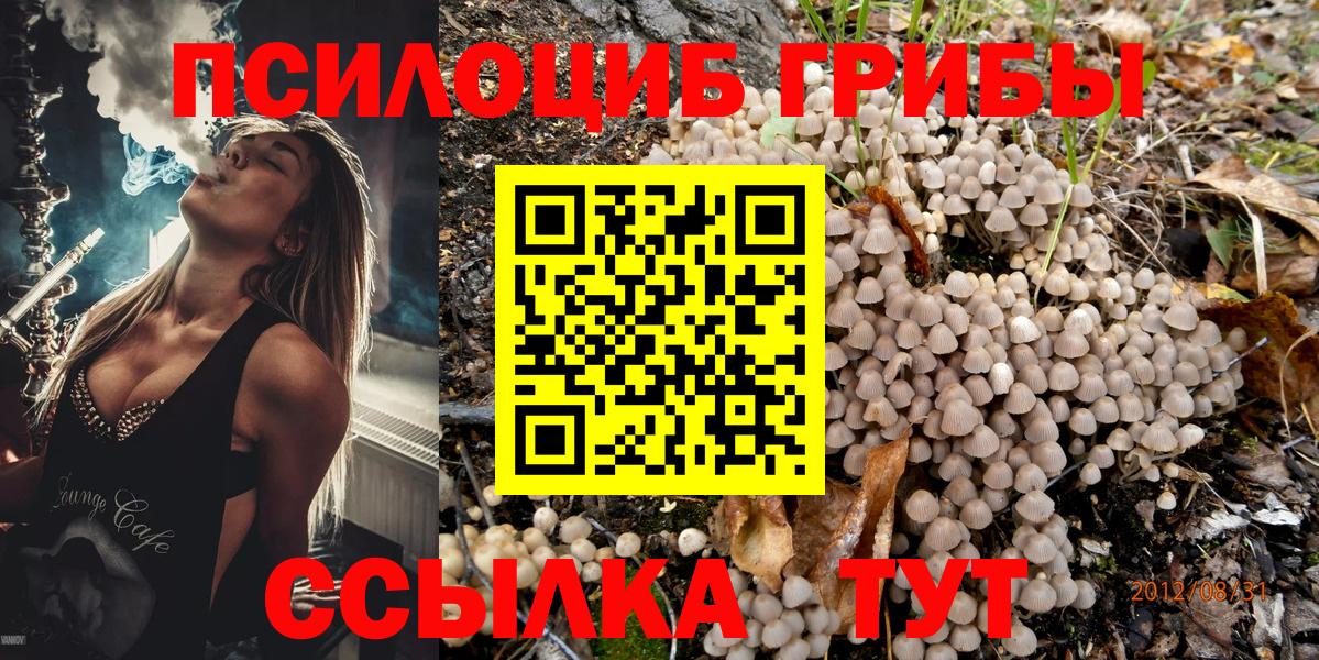 Псилоцибиновые грибы GOLDEN TEACHER  Вход с VPN  Артём 